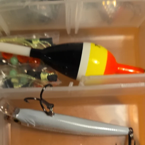 Daiwa Regal LT1000D-XH Fishing Reel And Trout Tackle.🐟🐟🐟🐟🐟🐟 - Picture 14 of 16